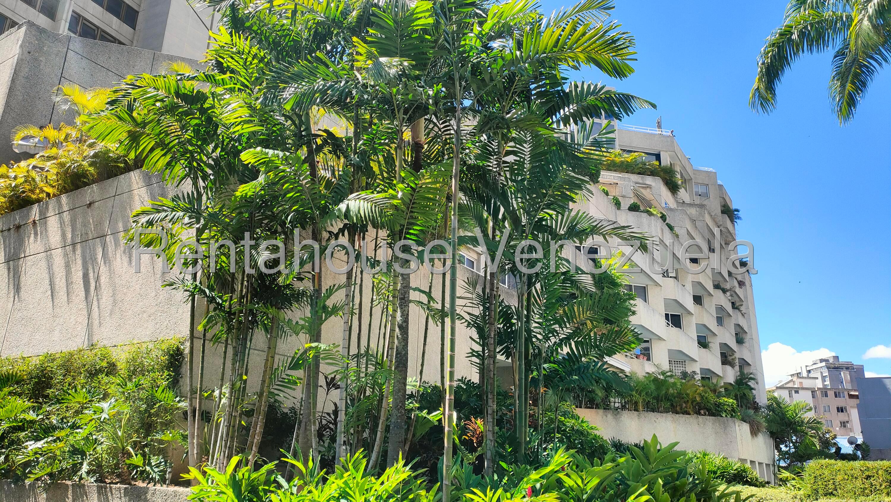 20250122202844552525000000-o.jpg