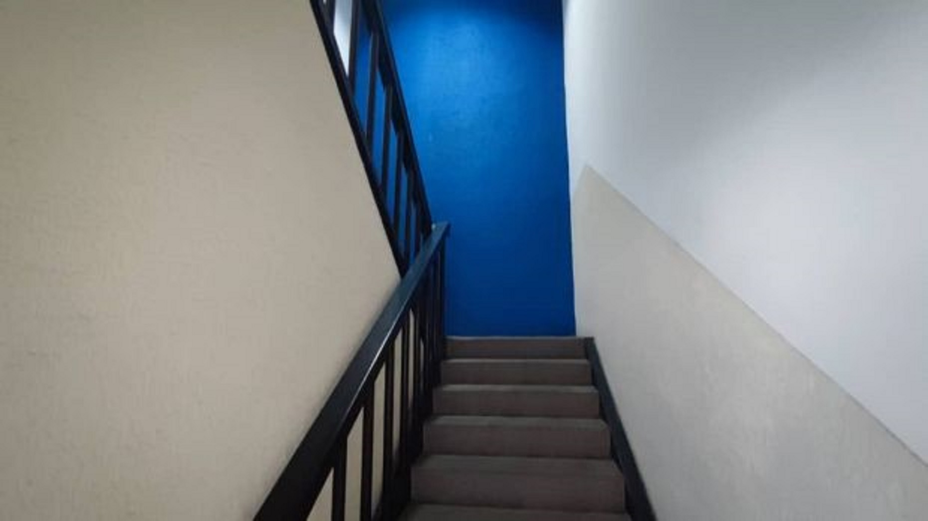 22471865-4