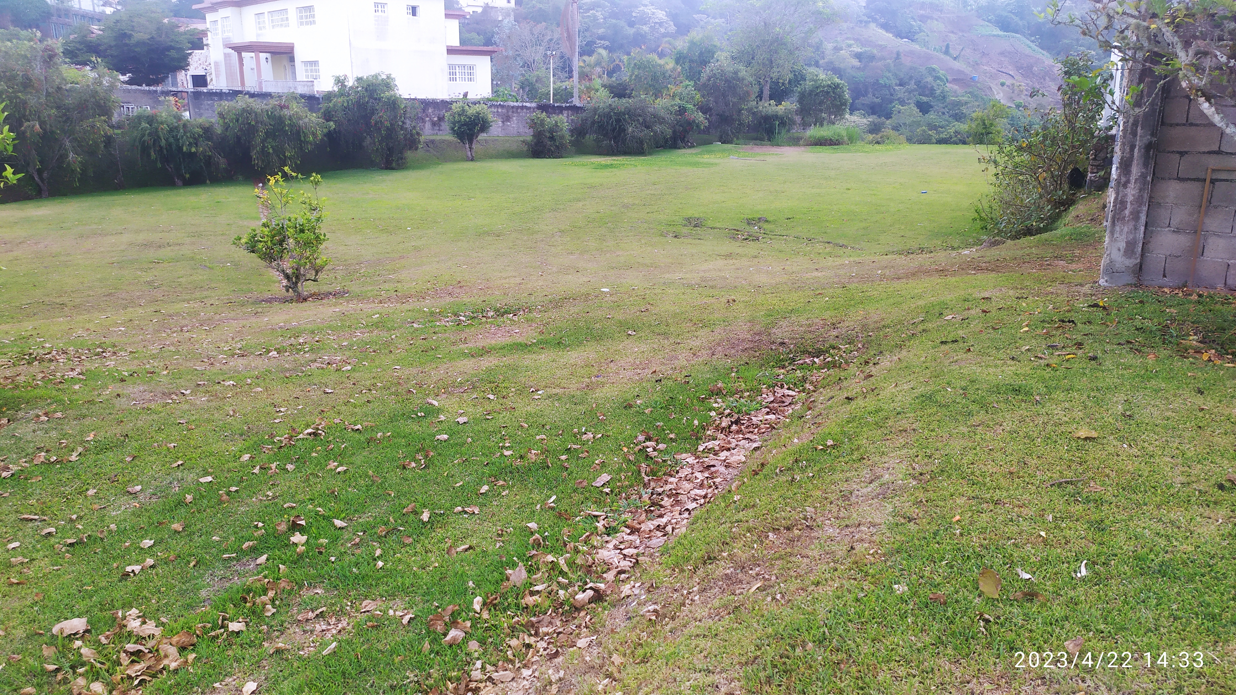 TERRENO.JPG