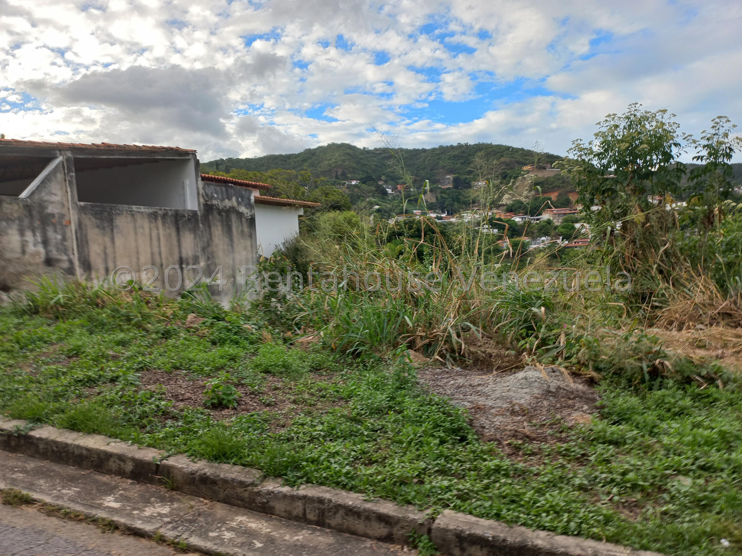 20260522114932884152000000-o.jpg