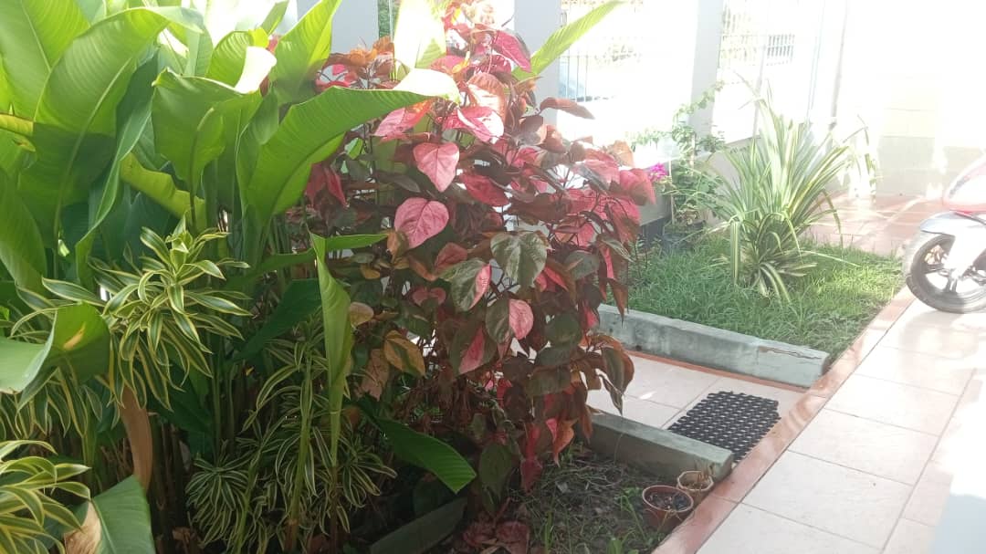 WhatsApp Image 2026-05-20 at 5.31.38 PM (8)