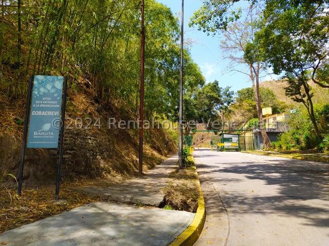 20240321205858401996000000-o.jpg