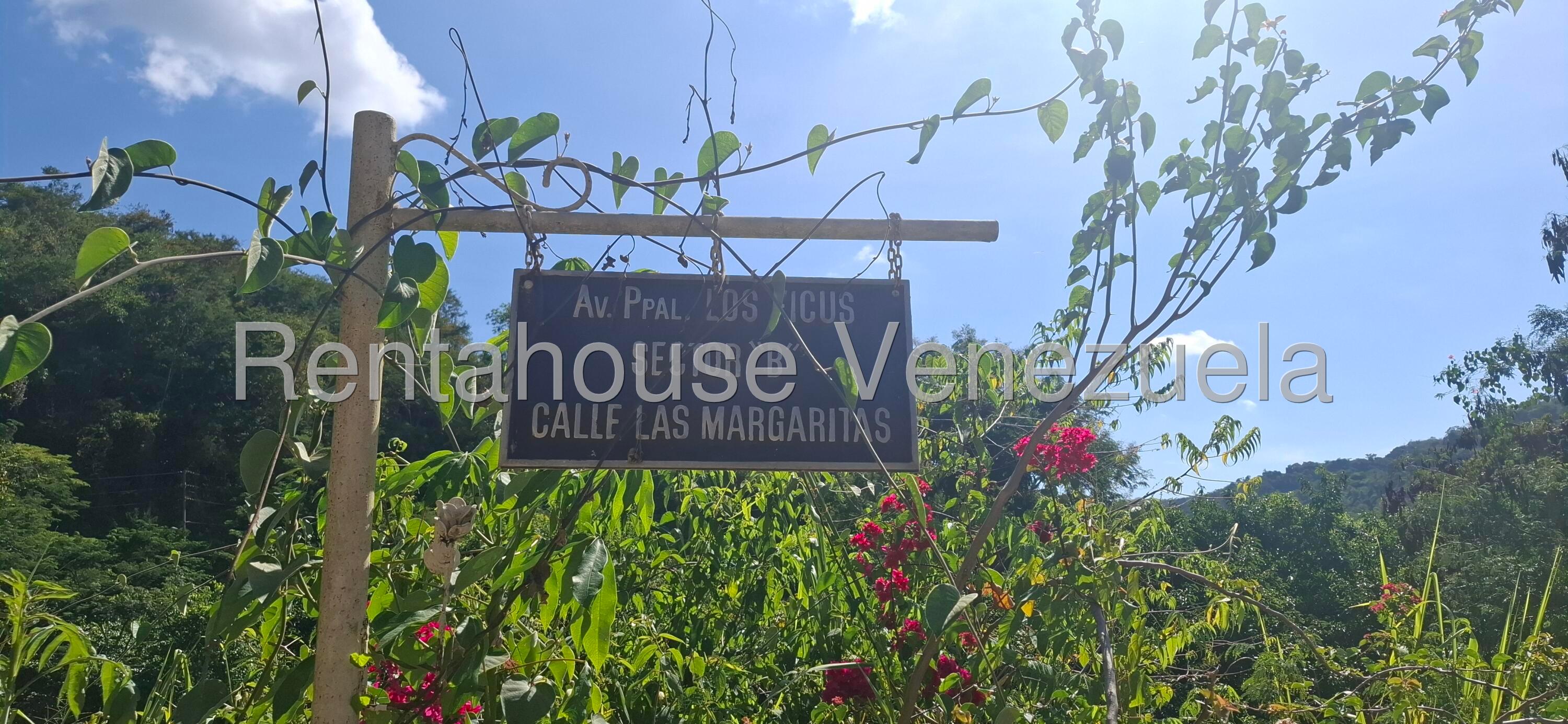 20241105211941936140000000-o.jpg