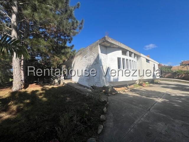 20250309204518355822000000-o.jpg