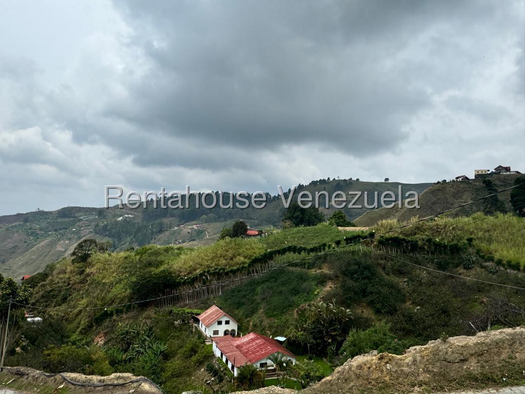 Terreno El Jarillo