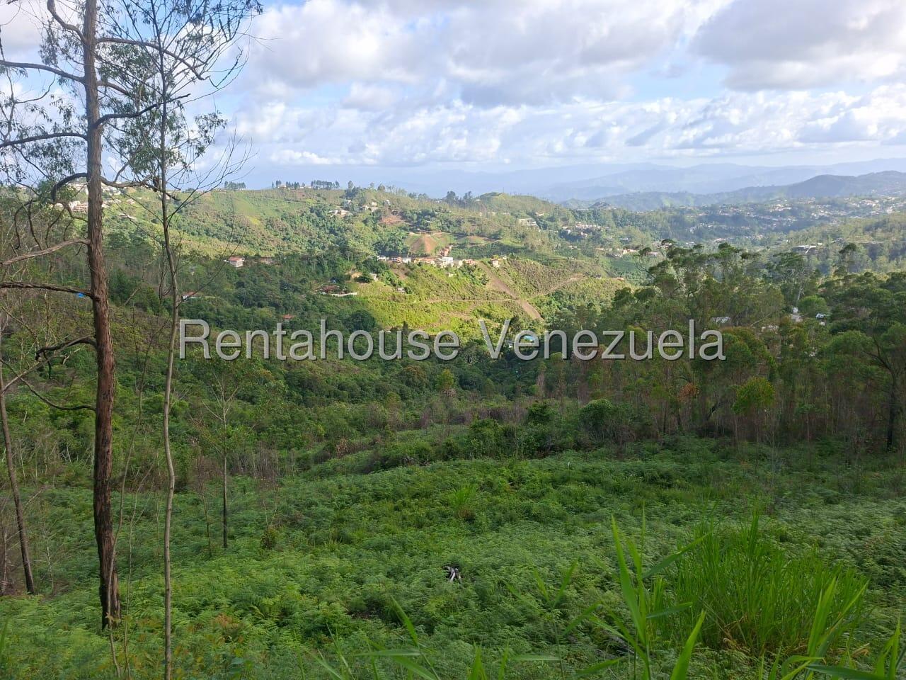 Terreno con vista en Carrizal, ideal para construir