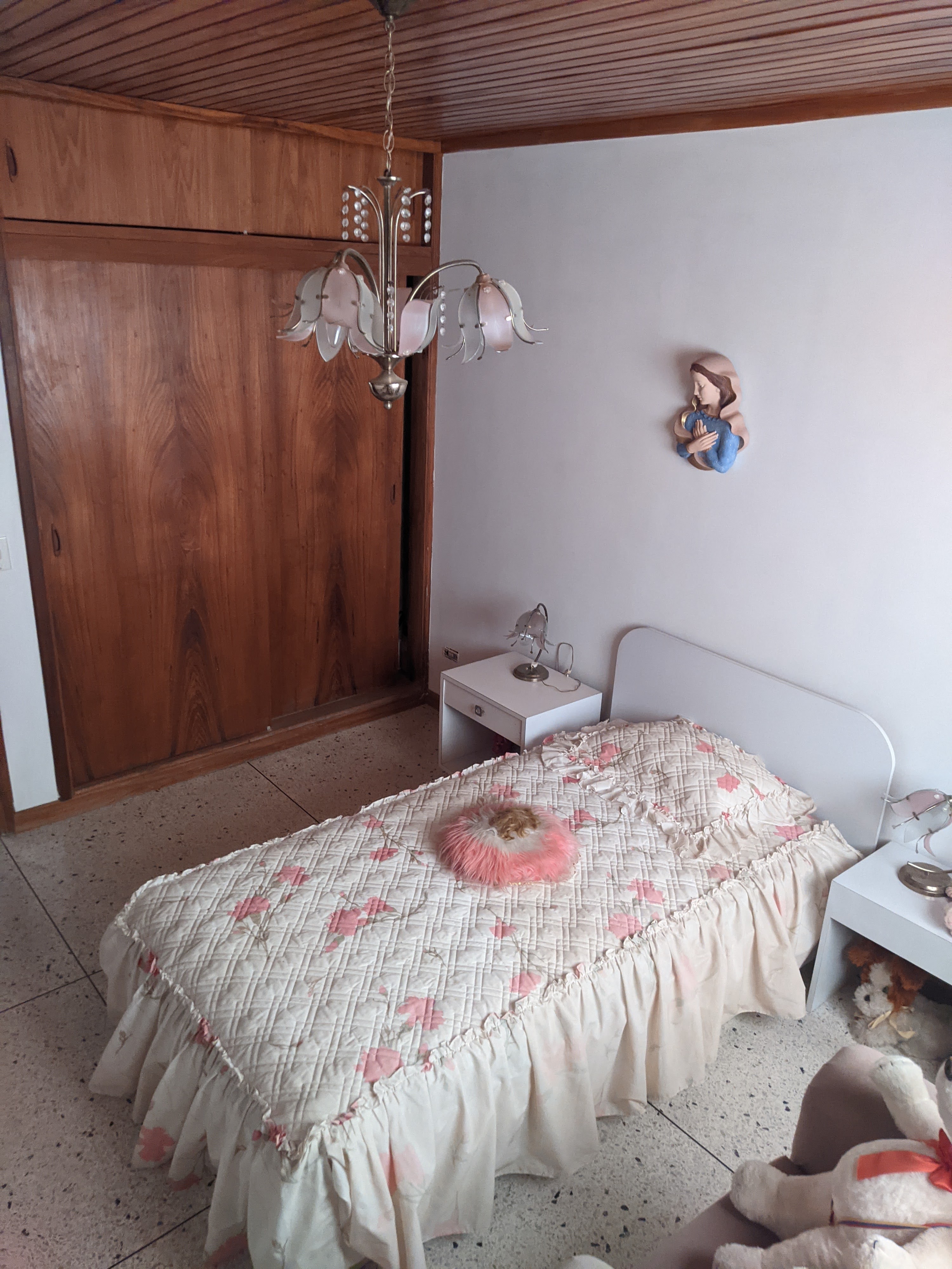 PXL_20220625_171352062