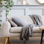 Las opciones de plantas de sombra para decorar los apartamentos  ?