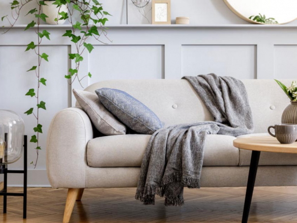 Plantas de sombra para ubicar en el apartamento
